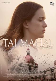 Taj Mahal poster